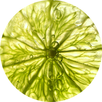 Close-up of a lime with a green background