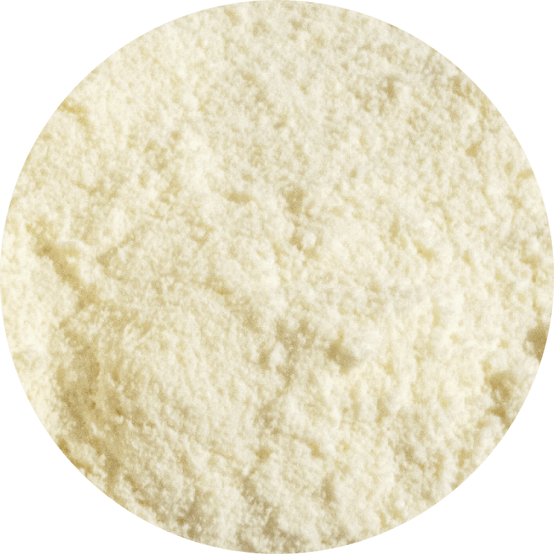 Meet The Collaborators of <br><i>Performance Revival</i>