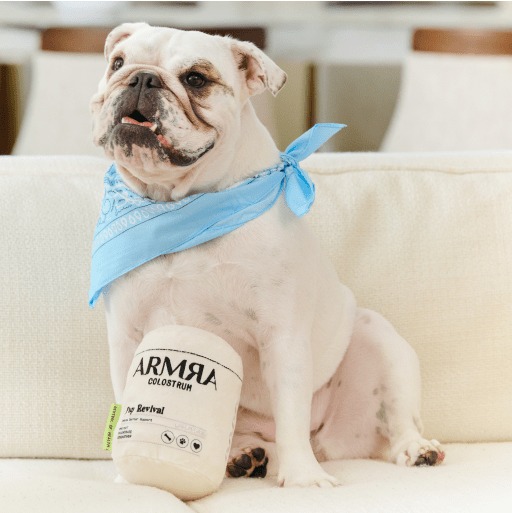 Pup Revival Dog Toy - ARMRA